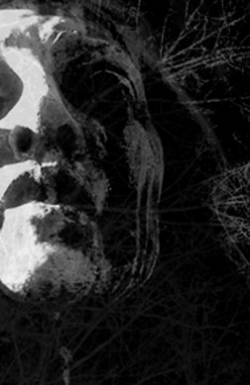 Insidious Omen : To Cast the Last Shadow